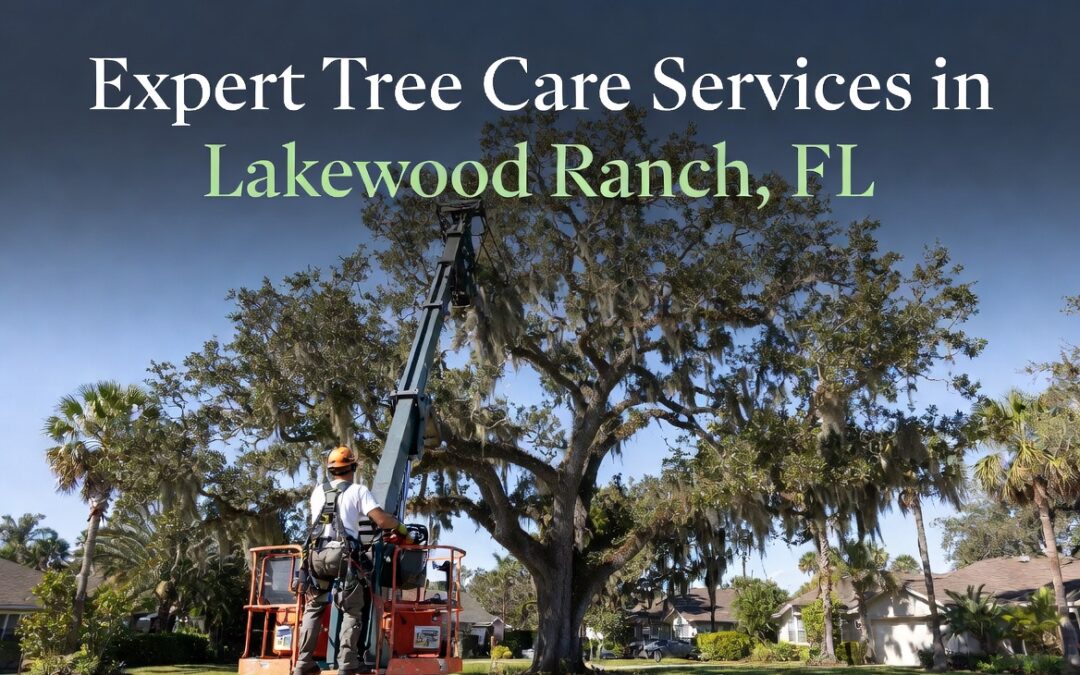 Expert Tree Care in Lakewood Ranch FL