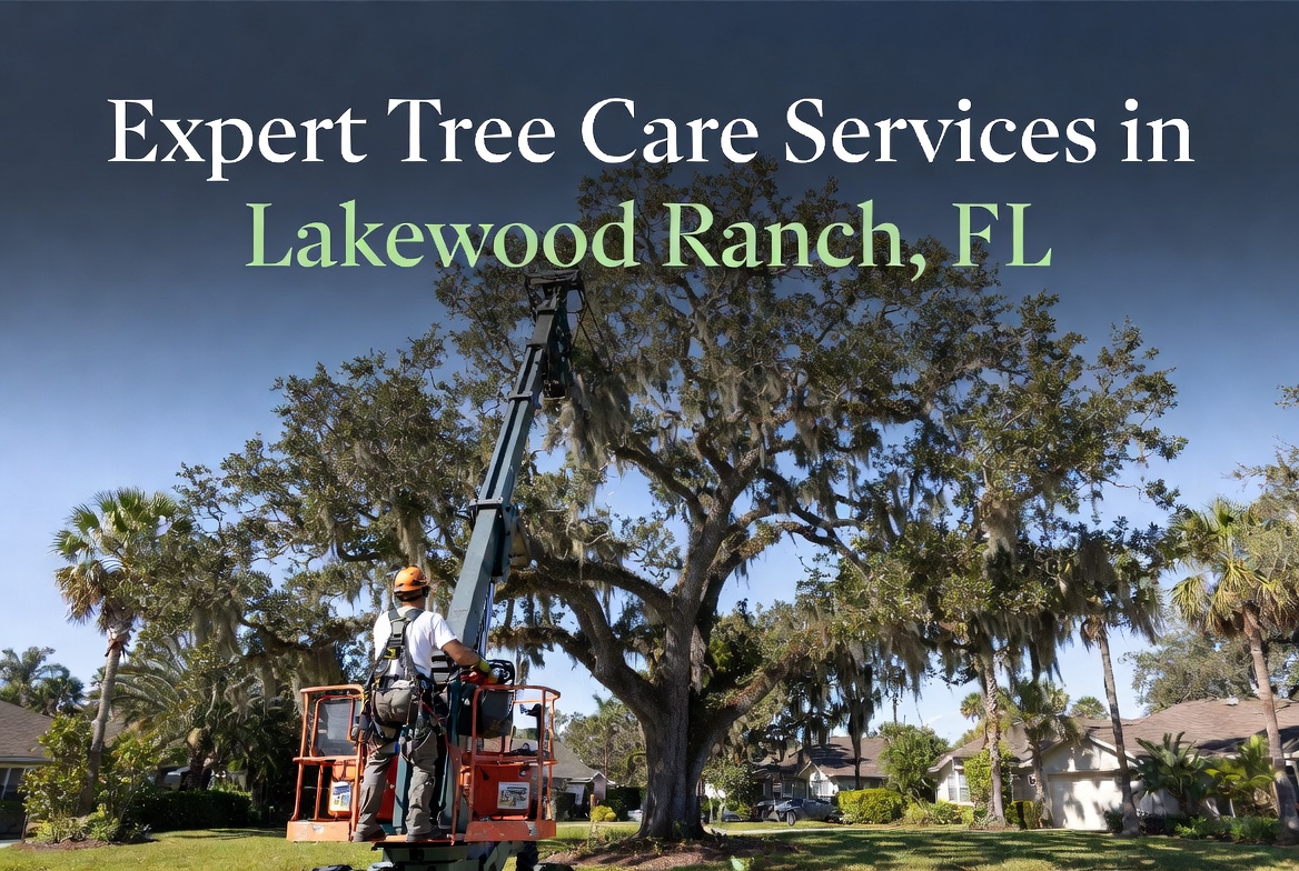 Expert Tree Care in Lakewood Ranch FL